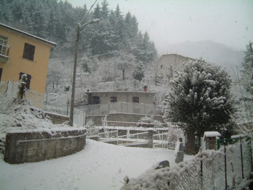  Image name: DSCF5064.JPG 
 width: 512 pixel 
 height: 384 pixel 
 Size: 57846 bytes 
 Click to enlarge 